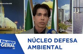 Defensoria pública cria núcleo de defesa ambiental para fortalecer atuação socioambiental