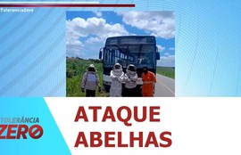 Ataque de abelhas dentro de ônibus mata homem e deixa 27 pessoas feridas em Capela
