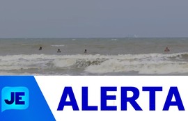 Suposta aparição de tubarões na praia da costa deixou moradores e visitantes em alerta