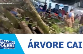 Árvore cai na praça da matriz e deixa comerciante ferido em São Cristóvão