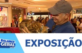 Exposição reúne raças exóticas de felinos em Shopping de Aracaju