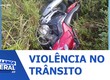 Três motociclistas morrem em acidentes nas rodovias de Sergipe no fim de semana