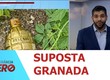 Suposta granada é encontrada em rede de saneamento na Zona Sul de Aracaju