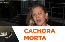 Suspeito de matar cadela com golpes é preso no Bairro Jabotiana em Aracaju