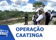 MPSE apresenta balanço da ação de fiscalização ambiental realizada em Sergipe e outros estados