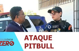 Criança de 11 anos é atacada por pitbull no Conjunto Padre Pedro