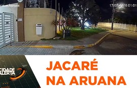 Jacaré é flagrado transitando em frente a condomínio na Zona de Expansão de Aracaju