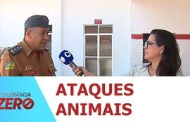 Corpo de bombeiros orienta como agir diante de ataque ou presença inesperada de algum animal