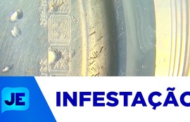 LIRAa divulgado pela SMS confirma aumento de infestação de Aedes aegypti