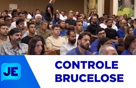Fórum de controle da brucelose reuniu entidades ligadas à pecuária e produtores rurais