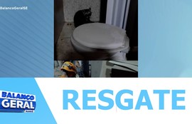 O Corpo de Bombeiros Militar foi acionada para realizar a captura de um guaxinim