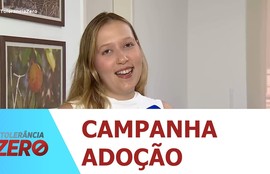 Aracaju realiza primeira feira de adoção do Programa Aju Animal de 2026