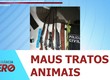 Polícia Civil apreende armas de fogo após denúncia de maus-tratos a animal em Carira