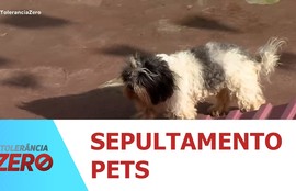 Projeto aprovado na ALESE autoriza sepultamento de pet em jazigo da família