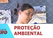 Projeto Tamar lança projeto que trabalha consciência ambiental no período da Páscoa