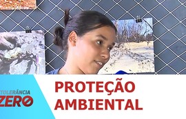 Projeto Tamar lança projeto que trabalha consciência ambiental no período da Páscoa