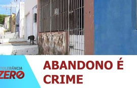 Lei brasileira prevê prisão para maus tratos a animais