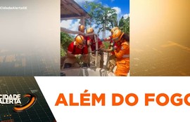 Ocorrências atendidas pelo Corpo de Bombeiros que quase não ganham visibilidade