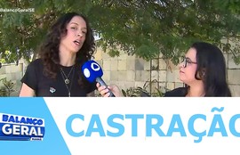 Secretaria Municipal do Meio Ambiente realiza mutirão de castração de felino nos dias 10 , 18 e 19 de abril