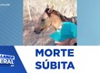 Vaqueiro tem morte súbita em Gararu
