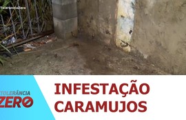 Infestação de caramujos tira o sono e ameaça a saúde de moradores no Bairro 18 do Forte