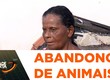 População denuncia casos de abandono de animais em via pública de São Cristóvão