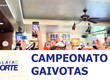 Campeonato Europeu de Imitação de Gaivotas é realizado com muita animação e irreverência