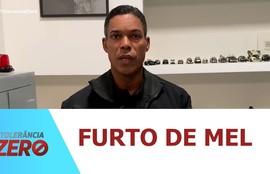 Apicultores de Sergipe relatam perdas históricas com furtos de colmeias