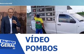 Confira vídeo de soltura de pombos em um ponto na Paraíba