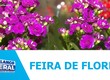 Feira de flores de holambra movimenta Aracaju no mês das mães