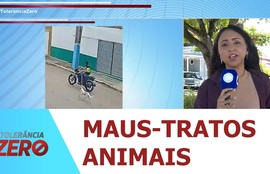 Polícia Civil identifica suspeito de maus-tratos a animal em Porto da Folha