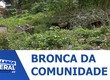População afirma que terreno no Bairro Cidade Nova está servindo de esconderijo para marginais