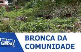 População afirma que terreno no Bairro Cidade Nova está servindo de esconderijo para marginais