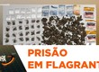 Ponto de tráfico de drogas é desarticulado em Lagarto; suspeito foi preso