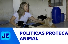 Relatório do MPF aponta diagnóstico da política animal em municípios sergipanos