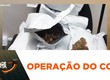 Mulher é presa com 15 pacotes de flor de maconha durante operação em Socorro