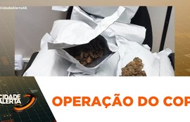 Mulher é presa com 15 pacotes de flor de maconha durante operação em Socorro