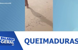 Sergipe registra aumento de casos de queimadura por água-viva e caravelas