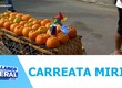 Carreata mirim mostra como o amor pela cultura local começa cedo em Itabaiana