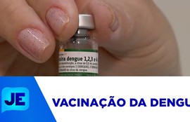 Vacinação da dengue do Instituto Butantan é suspensa temporariamente