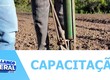 Técnicos ambientais participam de capacitação para orientar o produtor rural