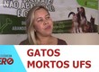 14 gatos comunitários foram encontrados mortos no período de 48 horas dentro do campus da UFS
