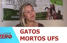 14 gatos comunitários foram encontrados mortos no período de 48 horas dentro do campus da UFS