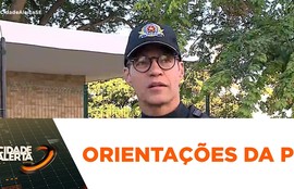 Bombeiros resgatam três filhotes de cachorro presos entre paredes em Nossa Senhora Aparecida