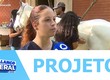 Estudantes da UFS desenvolvem projeto de atendimento clínico gratuito para equinos