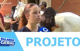 Estudantes da UFS desenvolvem projeto de atendimento clínico gratuito para equinos