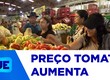 Tomate tem alta de preços e valores podem superar R$ 10 o quilo