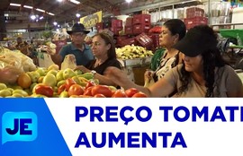 Tomate tem alta de preços e valores podem superar R$ 10 o quilo