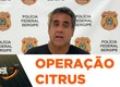 Presos por integrar associação criminosa especializada em roubos e furtos de moto