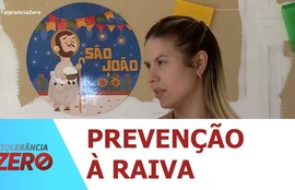 Mais de 2 mil cães e gatos foram vacinados somente neste ano